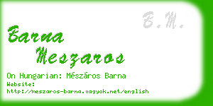 barna meszaros business card
