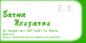 barna meszaros business card